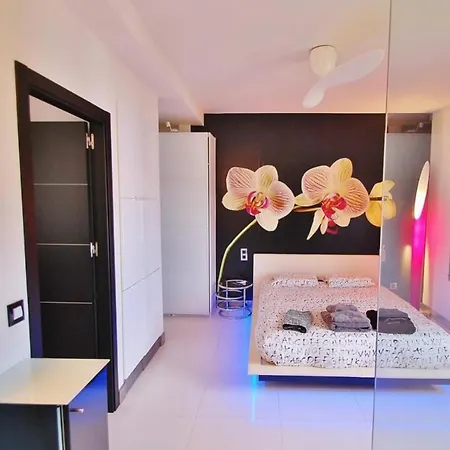 马贝拉阿提科波多巴努斯公寓 马尔韦利亚